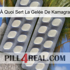 À Quoi Sert La Gelée De Kamagra 07